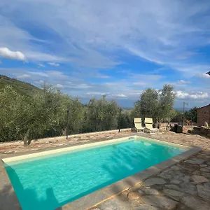 Casa vacanze Campo Dei Lupi, Vicopisano
